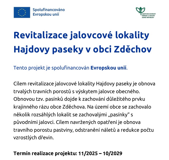 Projekt Projekt